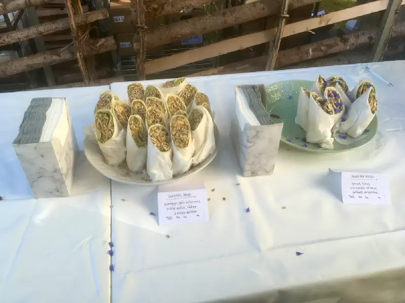 Wraps that will soon be eaten, Almedalsveckan 2017